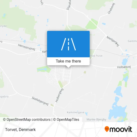 Torvet map