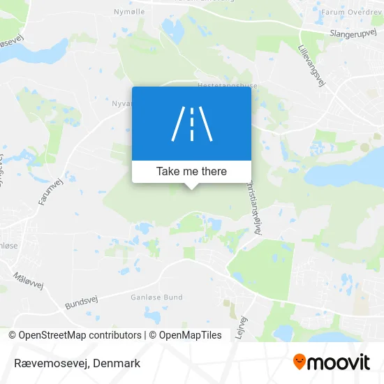 Rævemosevej map