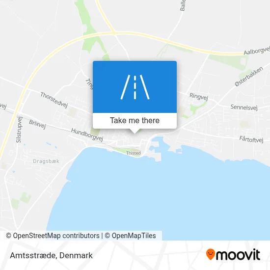 Amtsstræde map