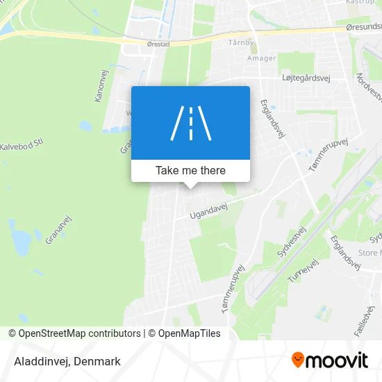 Aladdinvej map