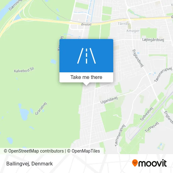 Ballingvej map