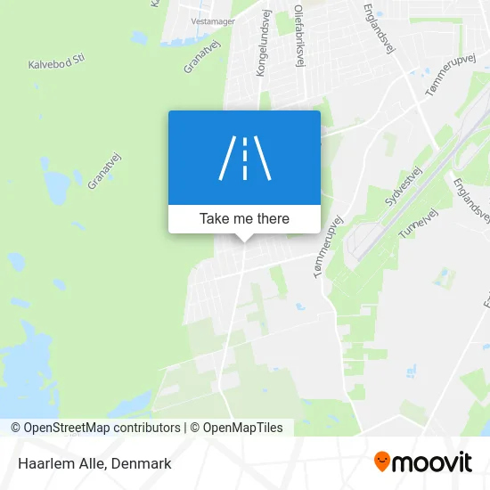 Haarlem Alle map