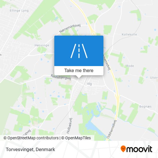 Torvesvinget map