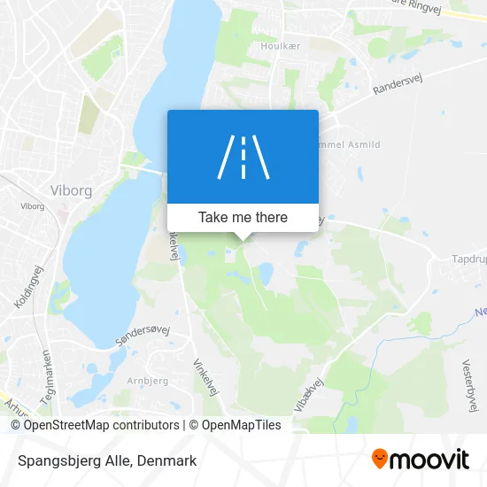 Spangsbjerg Alle map