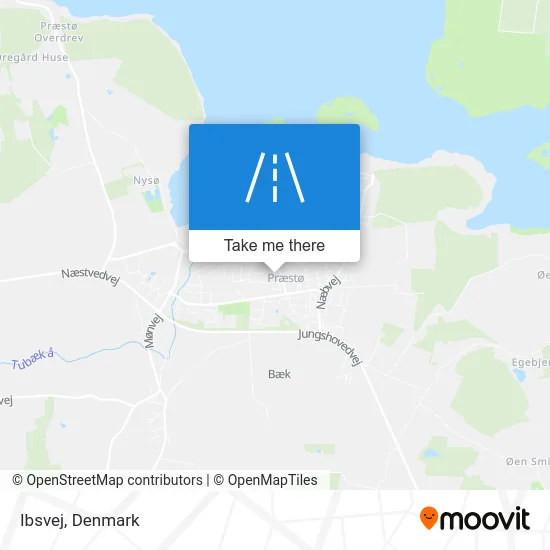 Ibsvej map
