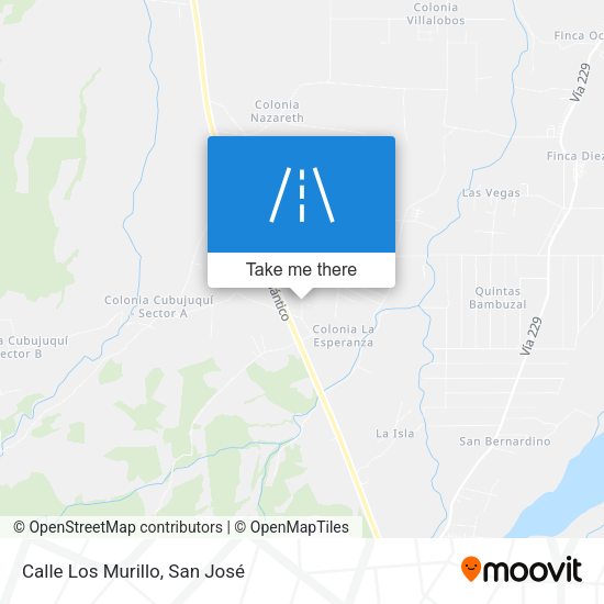 Mapa de Calle Los Murillo