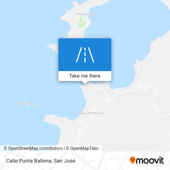 Mapa de Calle Punta Ballena