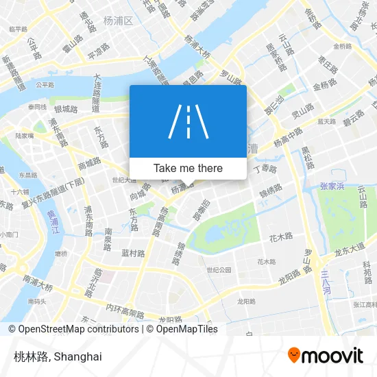 桃林路 map