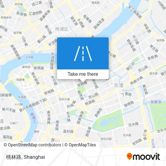 桃林路 map