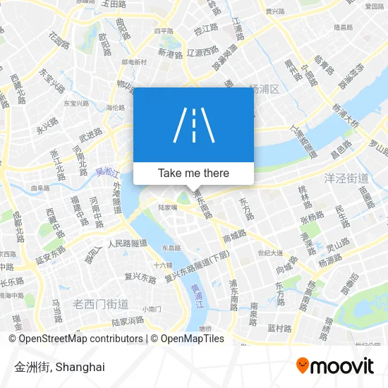 金洲街 map