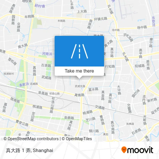 真大路 1 弄 map