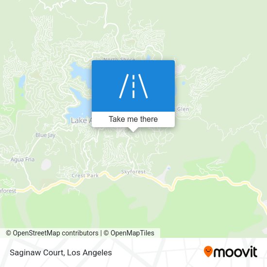 Mapa de Saginaw Court