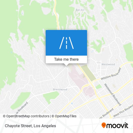 Chayote Street map