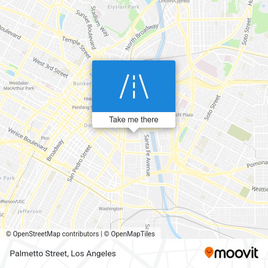 Palmetto Street map