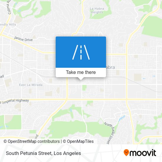 South Petunia Street map