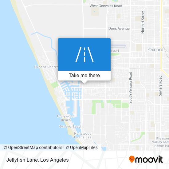 Jellyfish Lane map