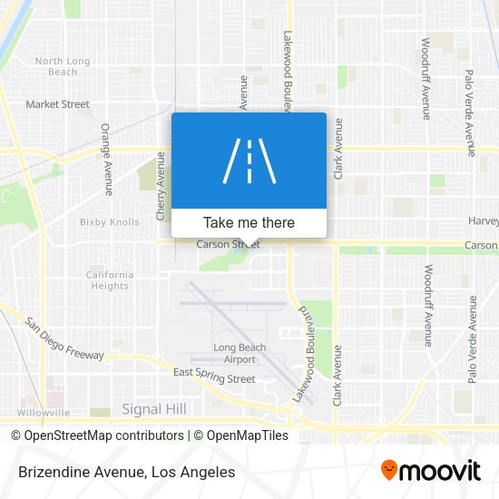 Brizendine Avenue map