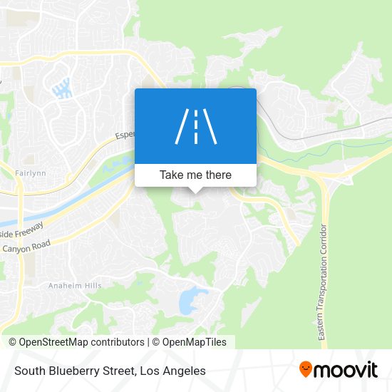 Mapa de South Blueberry Street