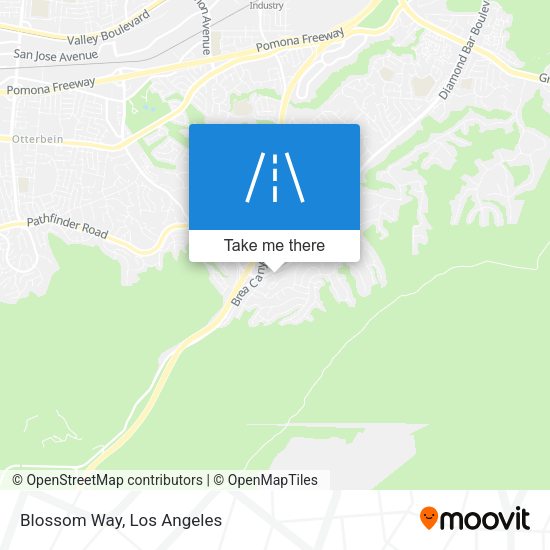 Mapa de Blossom Way