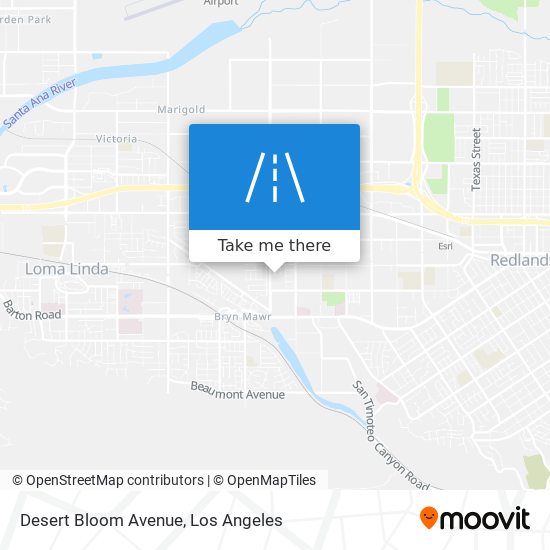 Mapa de Desert Bloom Avenue