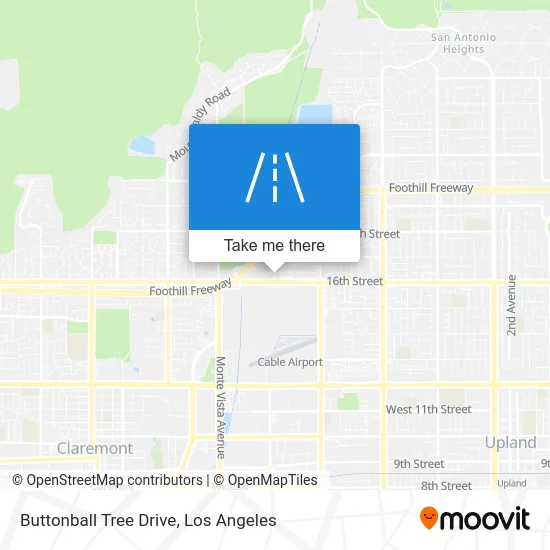 Buttonball Tree Drive map