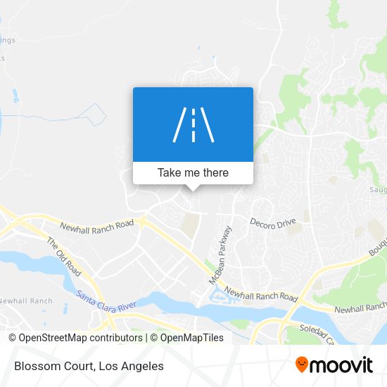 Mapa de Blossom Court