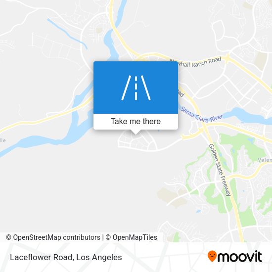 Laceflower Road map