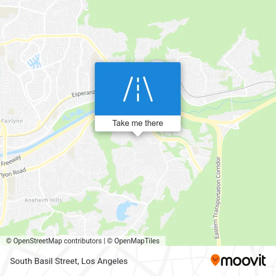 South Basil Street map
