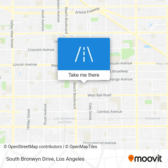 South Bronwyn Drive map
