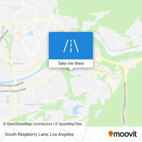 South Raspberry Lane map