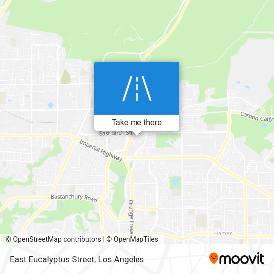 East Eucalyptus Street map