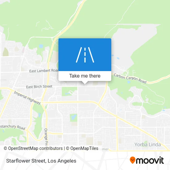 Starflower Street map