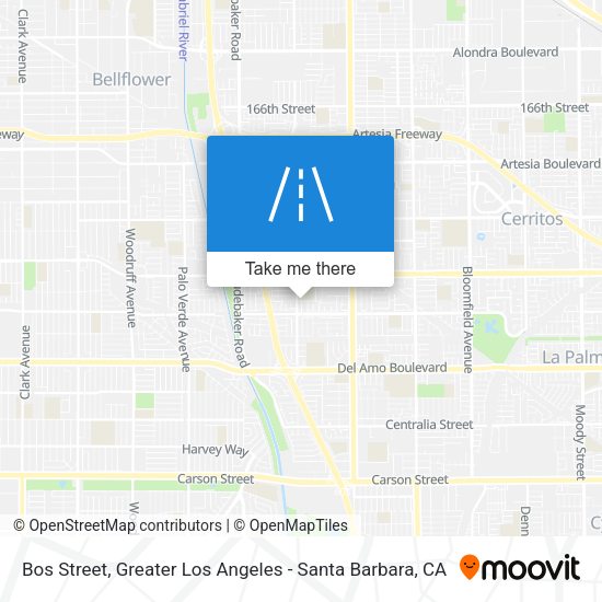 Bos Street map