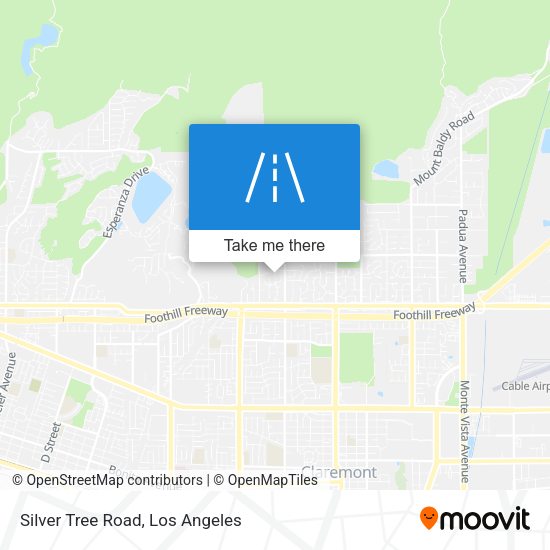 Silver Tree Road map