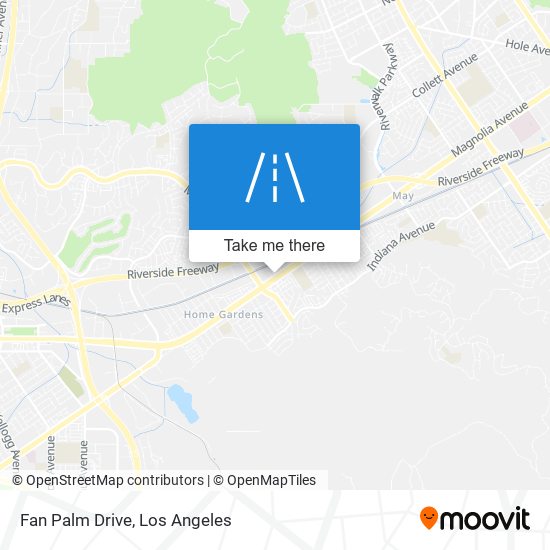 Fan Palm Drive map