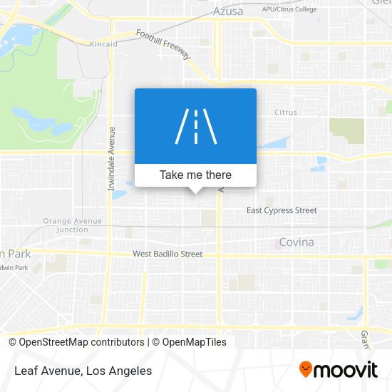 Mapa de Leaf Avenue