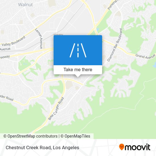 Chestnut Creek Road map