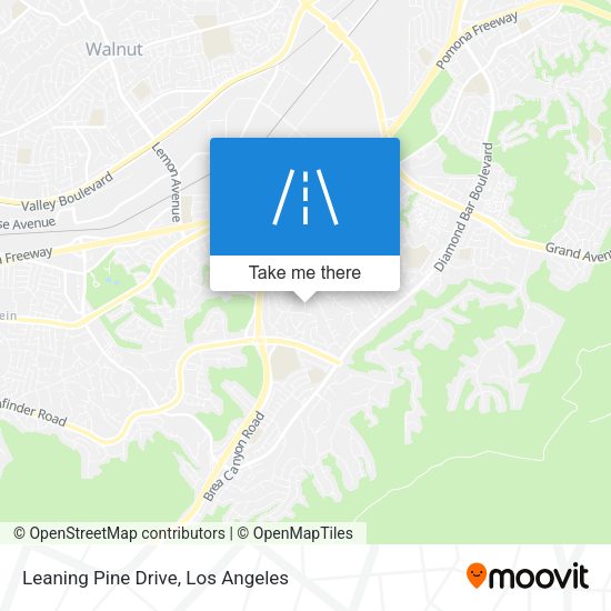Mapa de Leaning Pine Drive