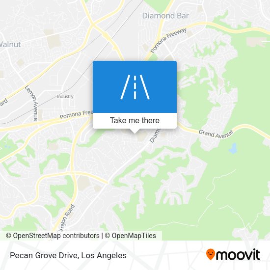 Pecan Grove Drive map