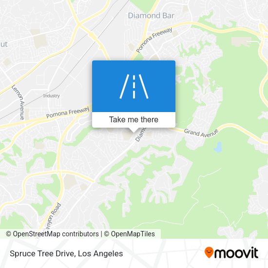 Spruce Tree Drive map