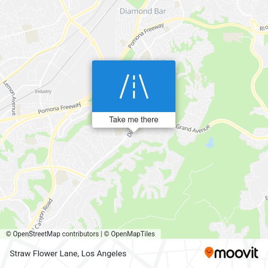 Mapa de Straw Flower Lane