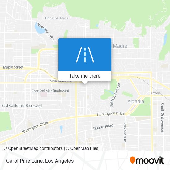 Carol Pine Lane map