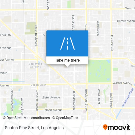 Scotch Pine Street map