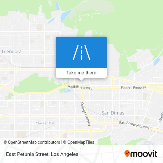 East Petunia Street map