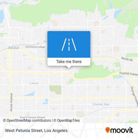 West Petunia Street map