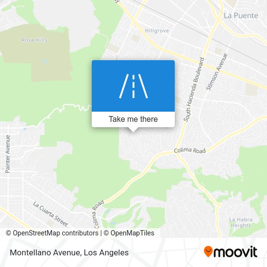 Montellano Avenue map