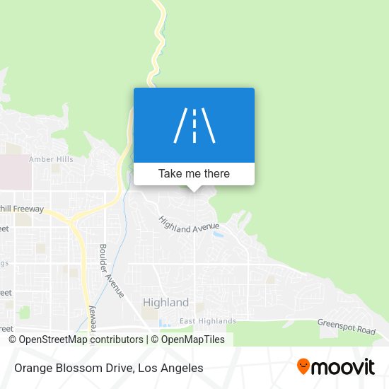 Orange Blossom Drive map