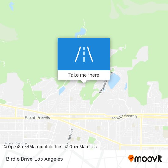 Birdie Drive map
