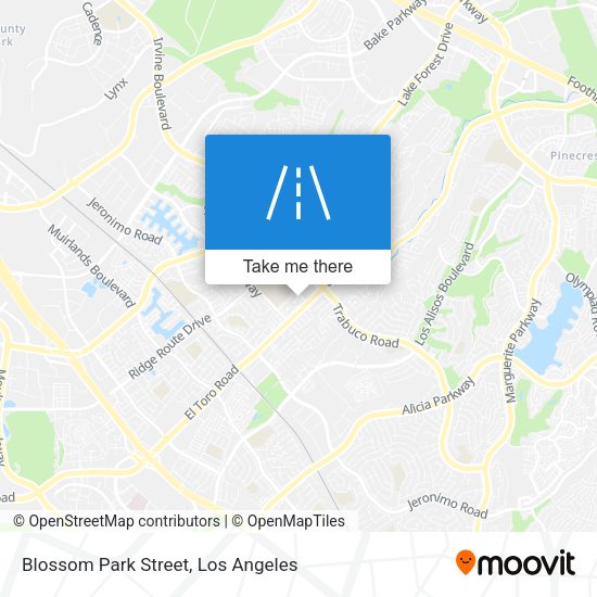 Blossom Park Street map