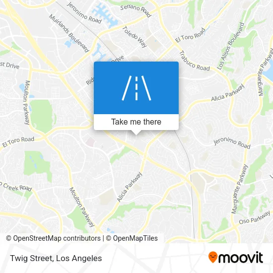 Twig Street map